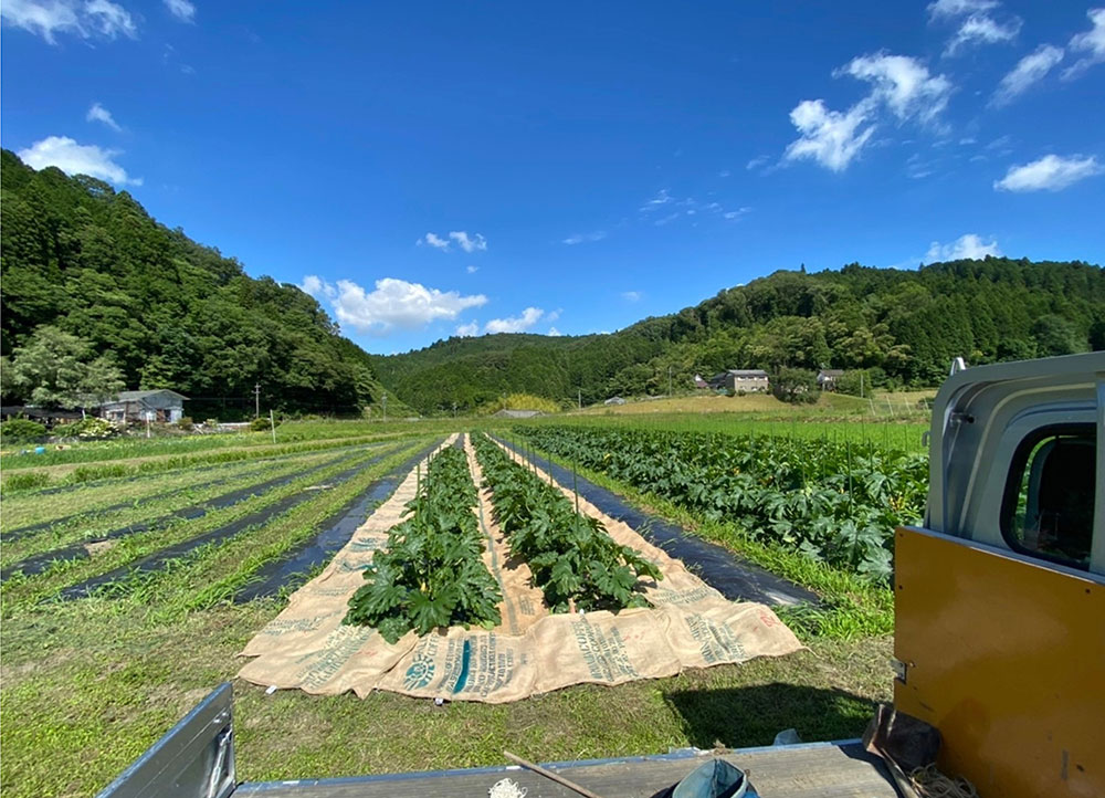 麻袋・コーヒーチャフの再利用